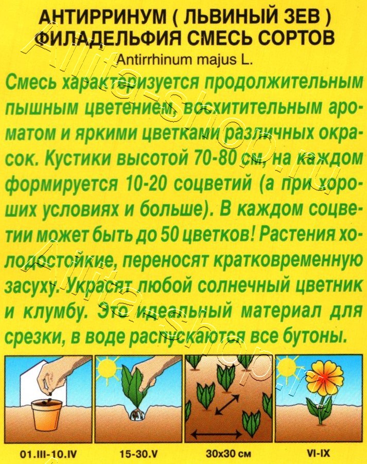 Львиный зев Филадельфия, смесь сортов 0,1г
