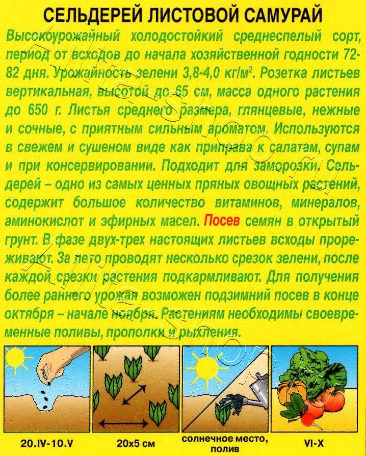 Сельдерей листовой Самурай 0,5г