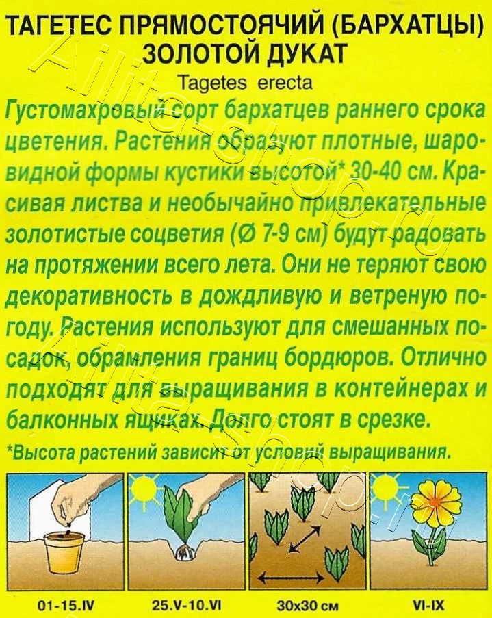 Бархатцы Золотой дукат прямостоячие 7шт