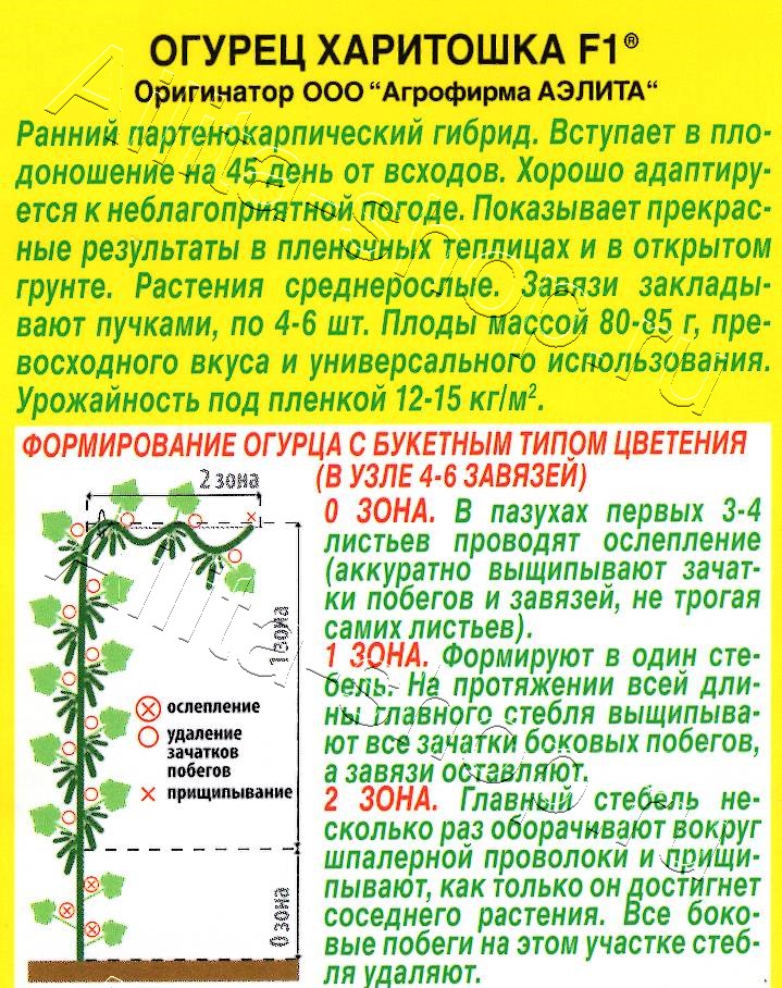 Огурец Харитошка F1 10шт