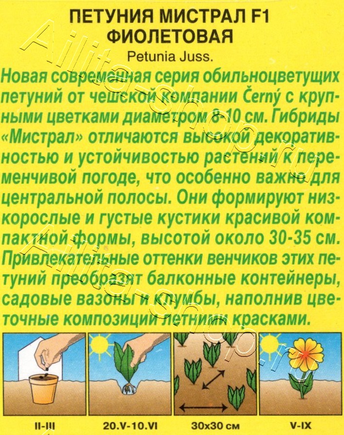 Петуния Мистрал F1 фиолетовая крупноцветковая 7шт