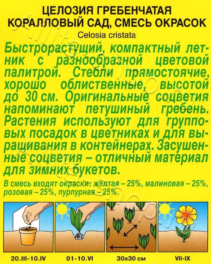 Целозия гребенчатая Коралловый сад, смесь окрасок 0,2г