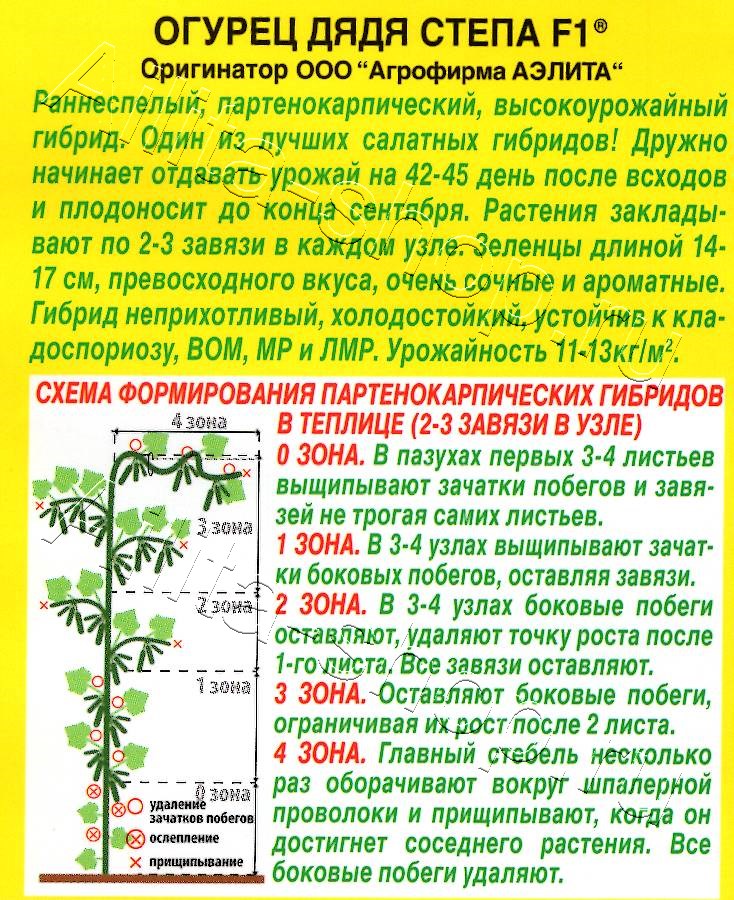 Огурец Дядя Степа F1 10шт