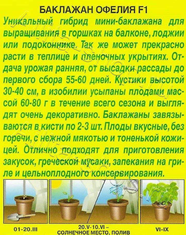 Баклажан Офелия F1 5шт