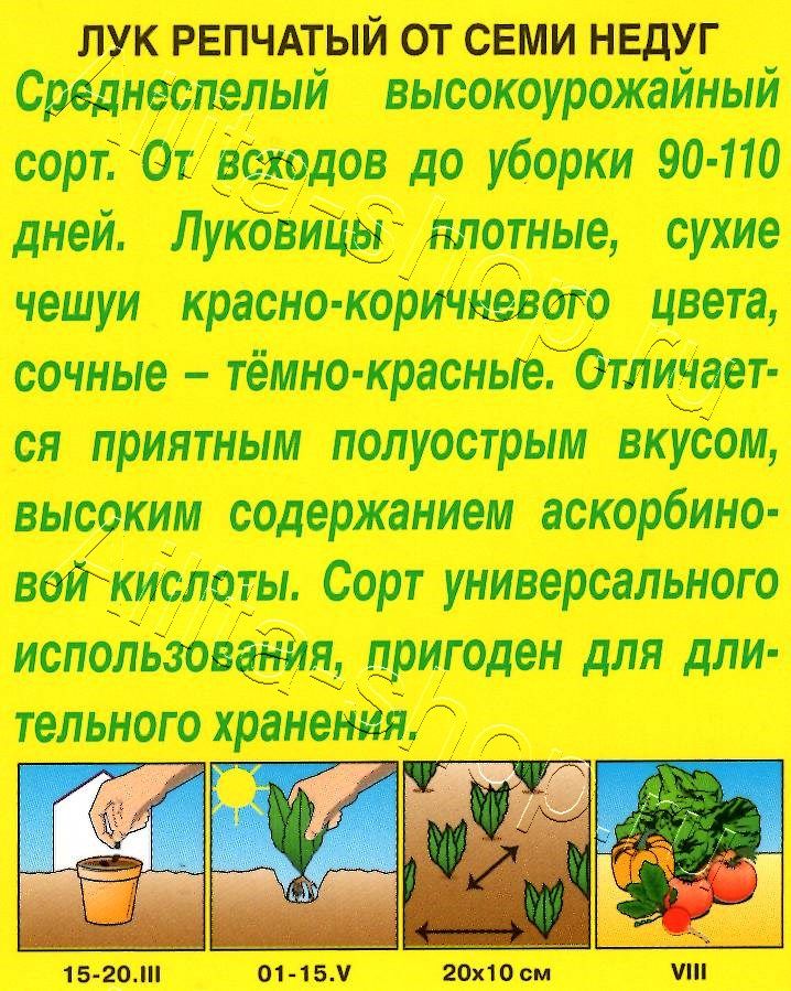 Лук репчатый От семи недуг 0,5г