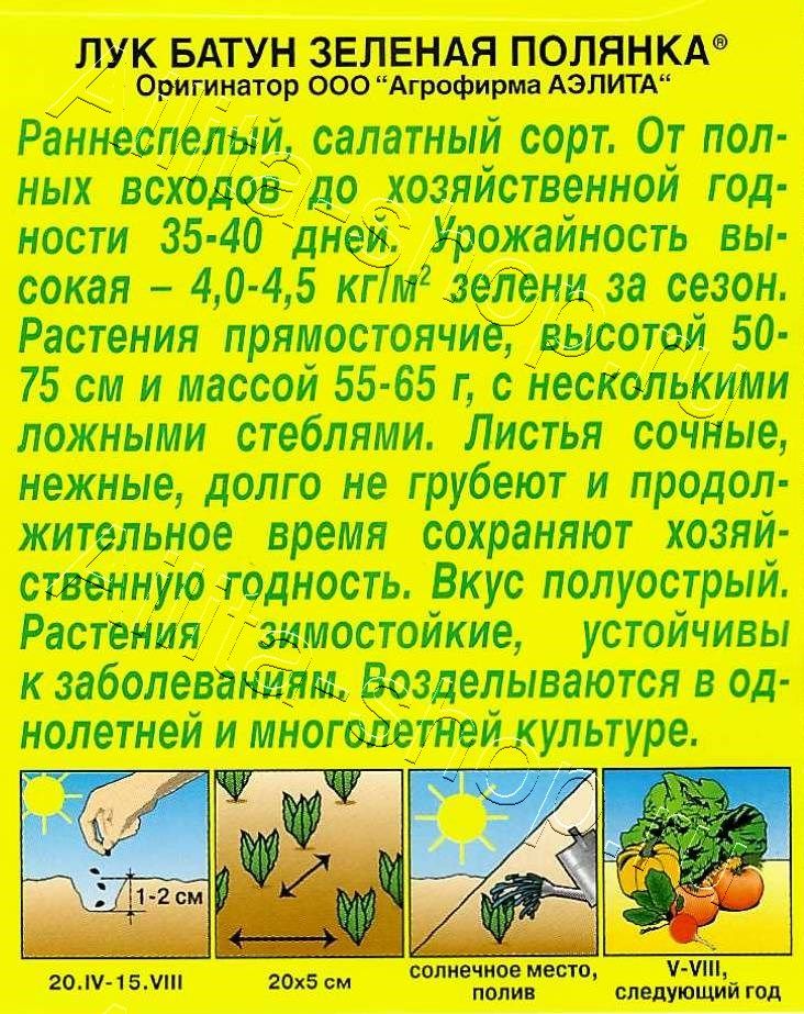 Лук батун Зеленая полянка 0,3г