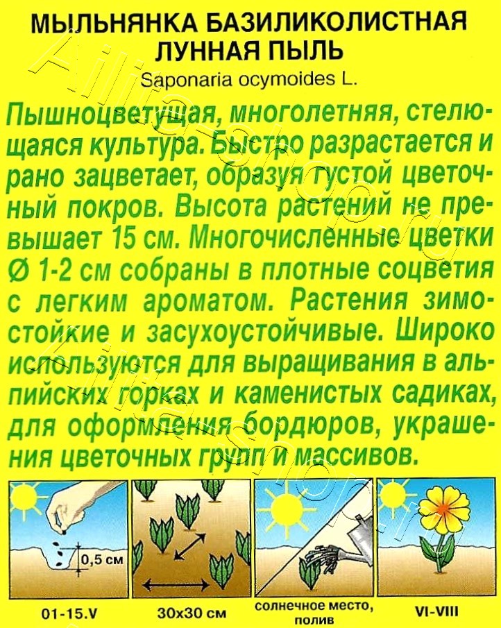 Мыльнянка Лунная пыль базиликолистная 0,1г