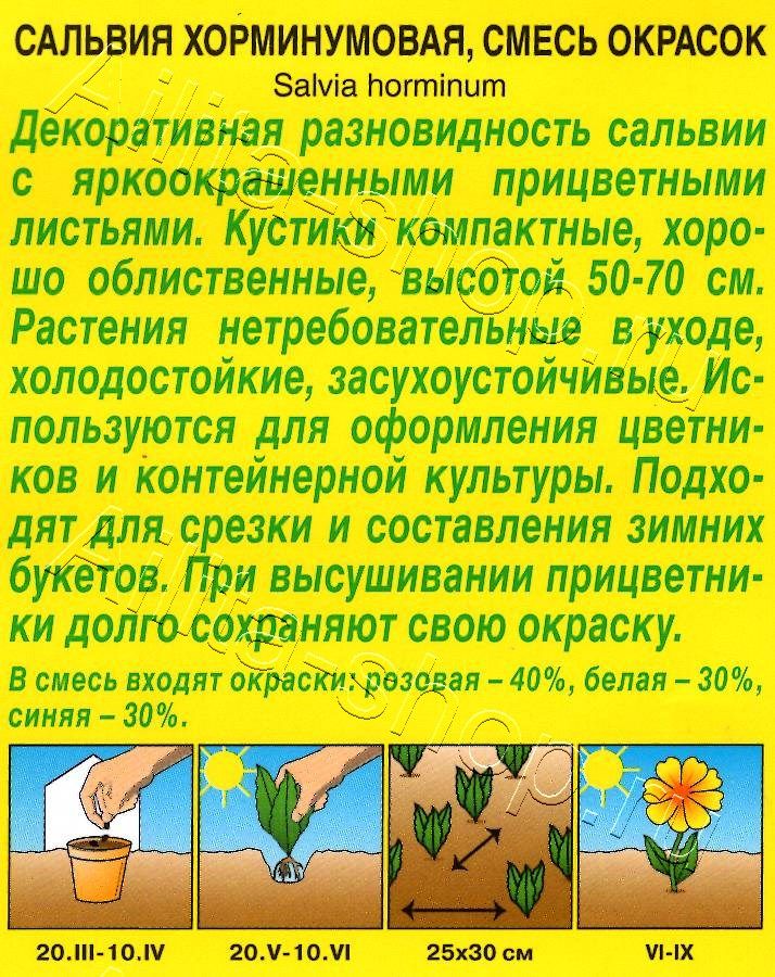 Сальвия Хорминумовая, смесь окрасок 0,3г