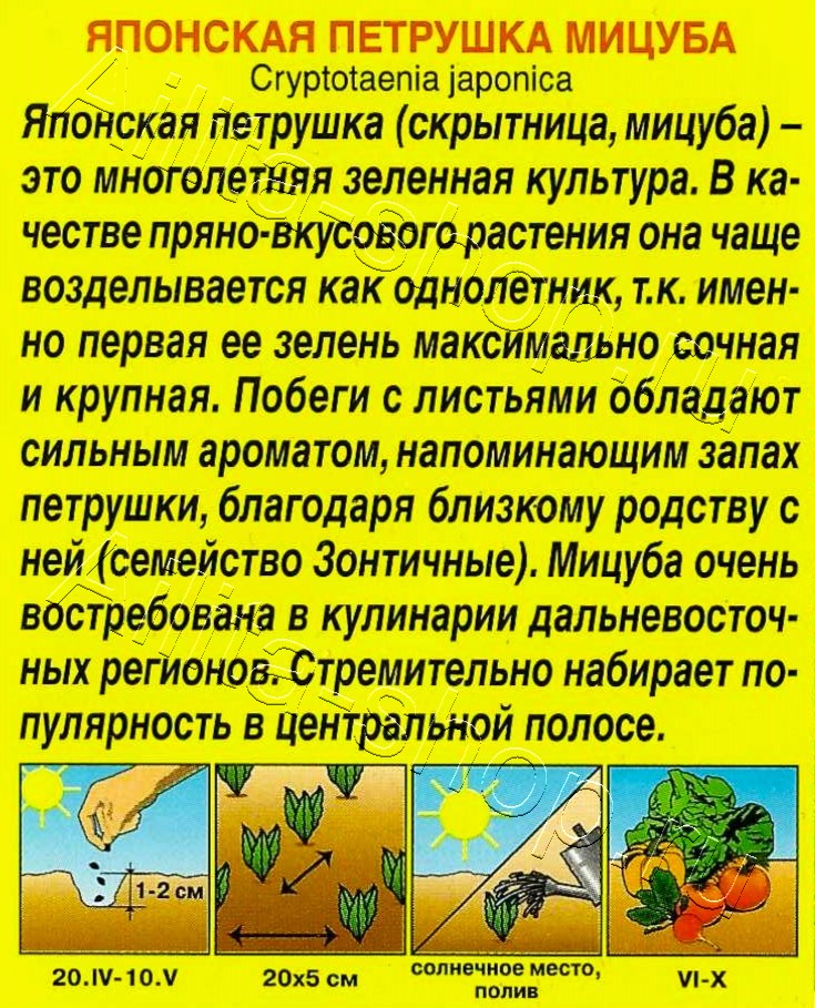 Японская петрушка Мицуба 0,1г