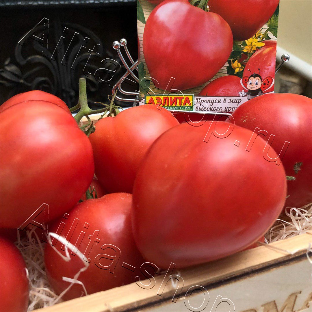 Томат Неразлучные сердца F1 15шт