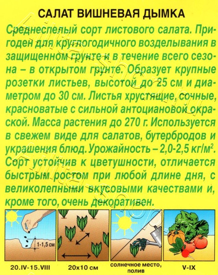 Салат Вишневая дымка листовой 0,5г
