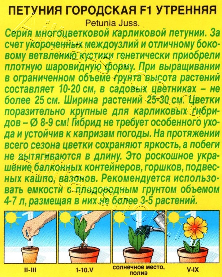 Петуния Городская F1 утренняя 7шт