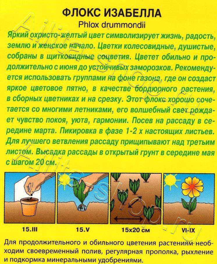 Флокс Изабелла 0,1г