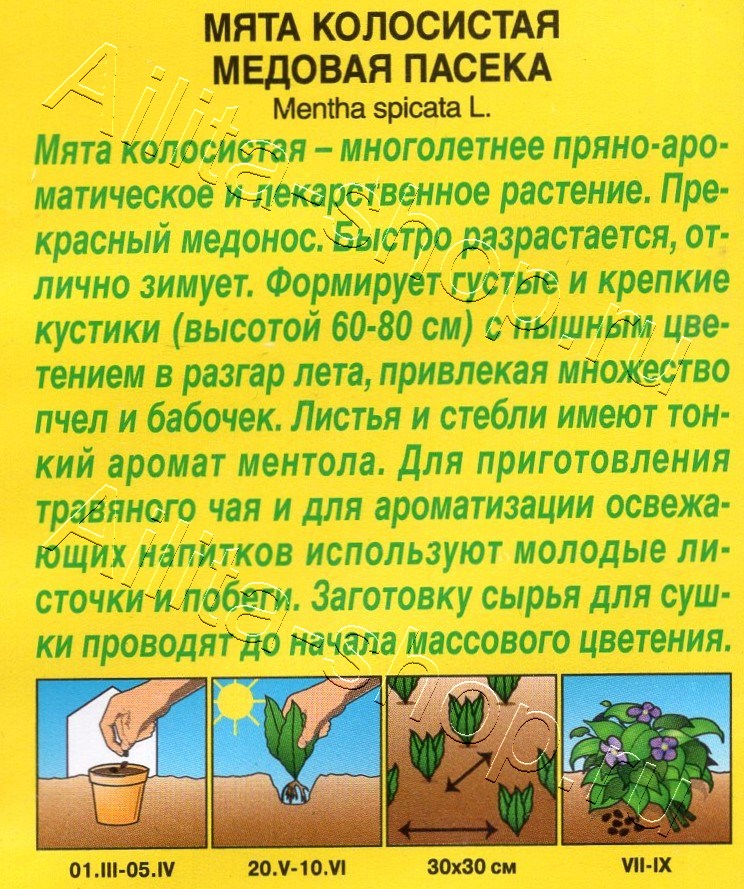 Мята колосистая Медовая пасека 0,05г