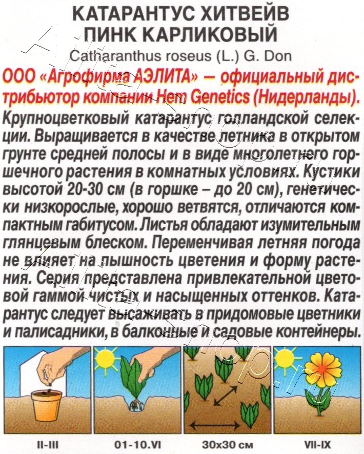 Катарантус Хитвейв пинк карликовый 5шт