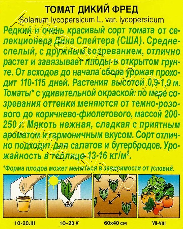 Томат Дикий Фред 10шт