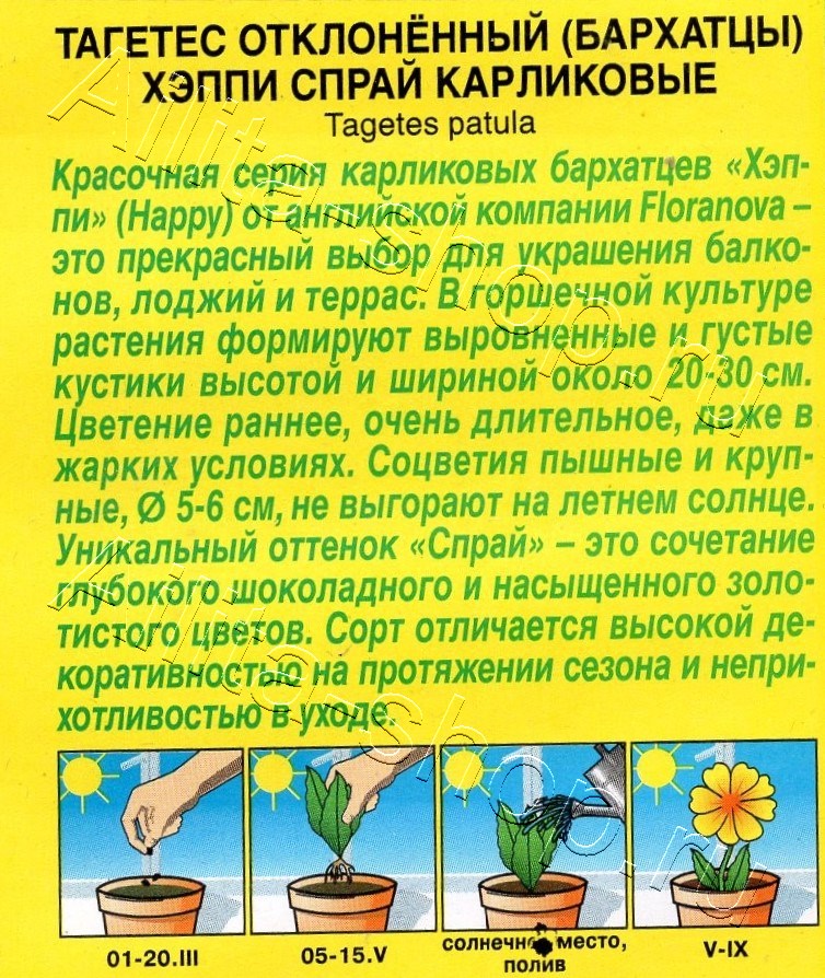 Бархатцы Хэппи спрай карликовые 7шт