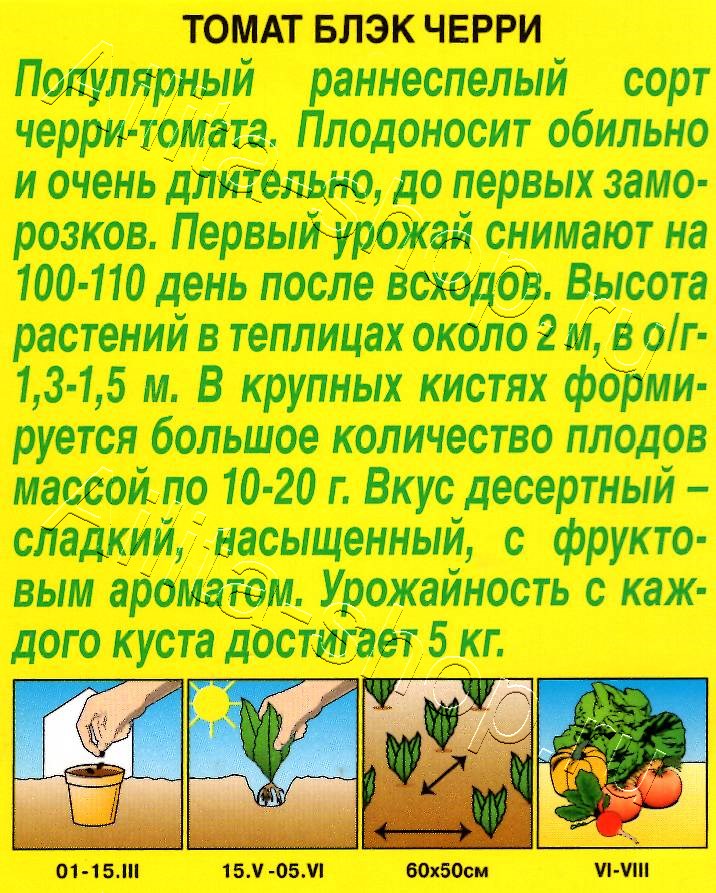 Томат Блэк черри 20шт