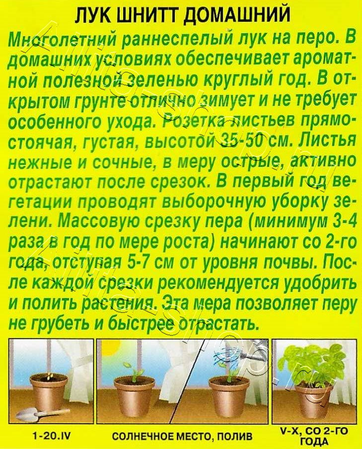 Лук шнитт Домашний 0,5г