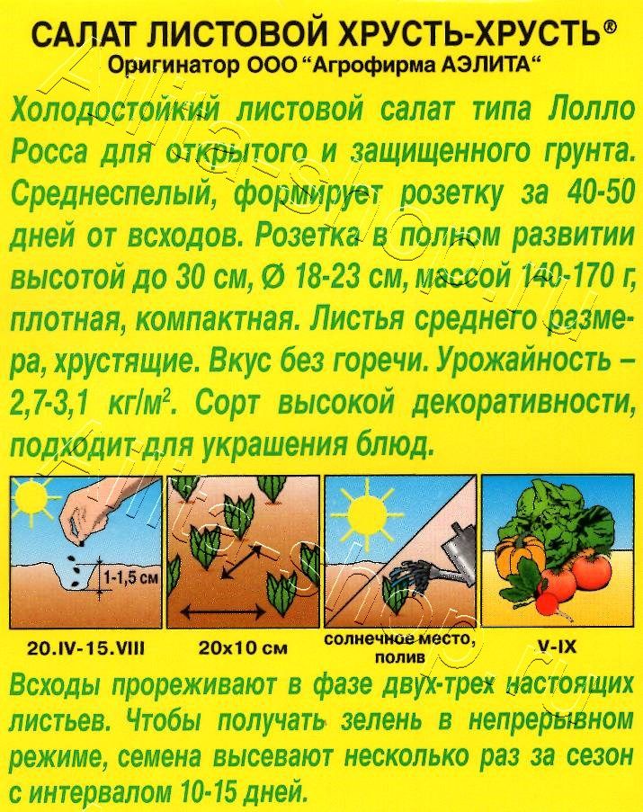 Салат Хрусть-хрусть листовой 0,5г