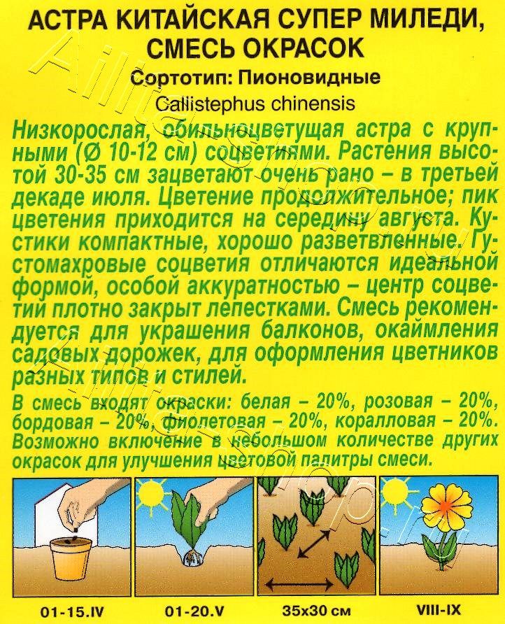 Астра Супер Миледи, смесь окрасок 0,2г