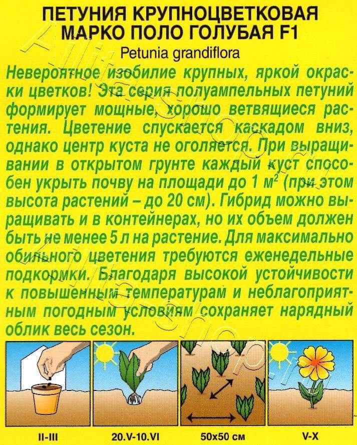 Петуния Марко Поло F1 голубая 10шт