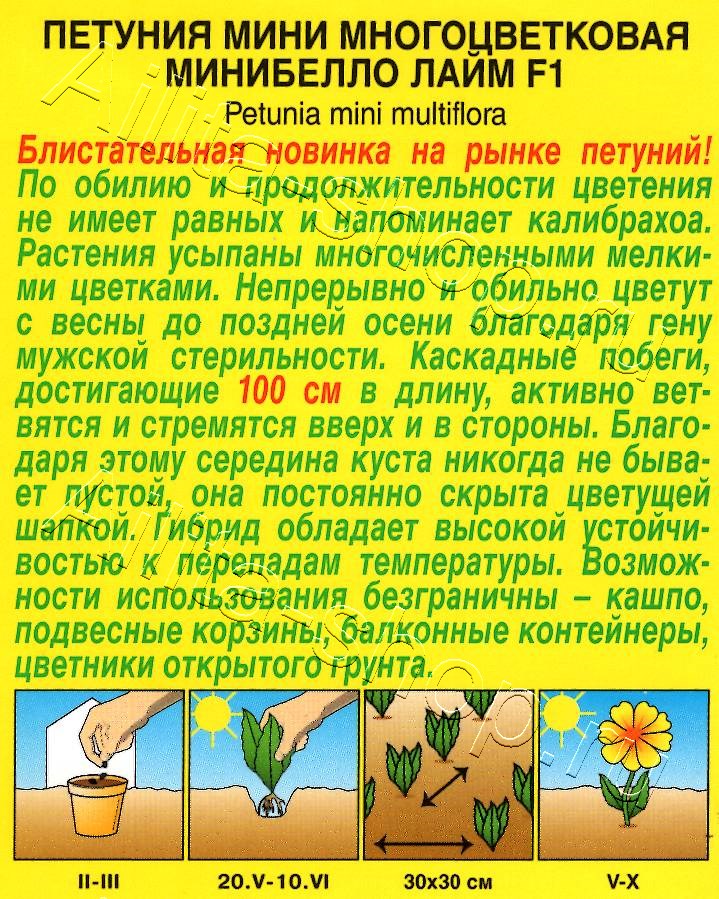 Петуния мини Минибелло F1 лайм многоцветковая 5шт