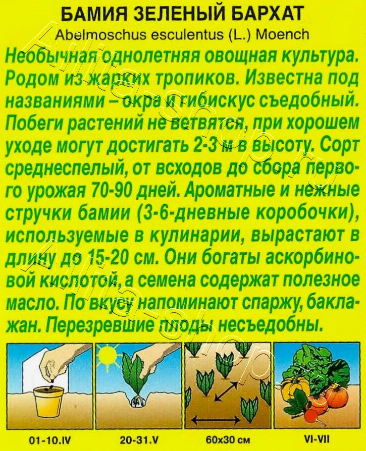 Бамия Зеленый бархат 8шт