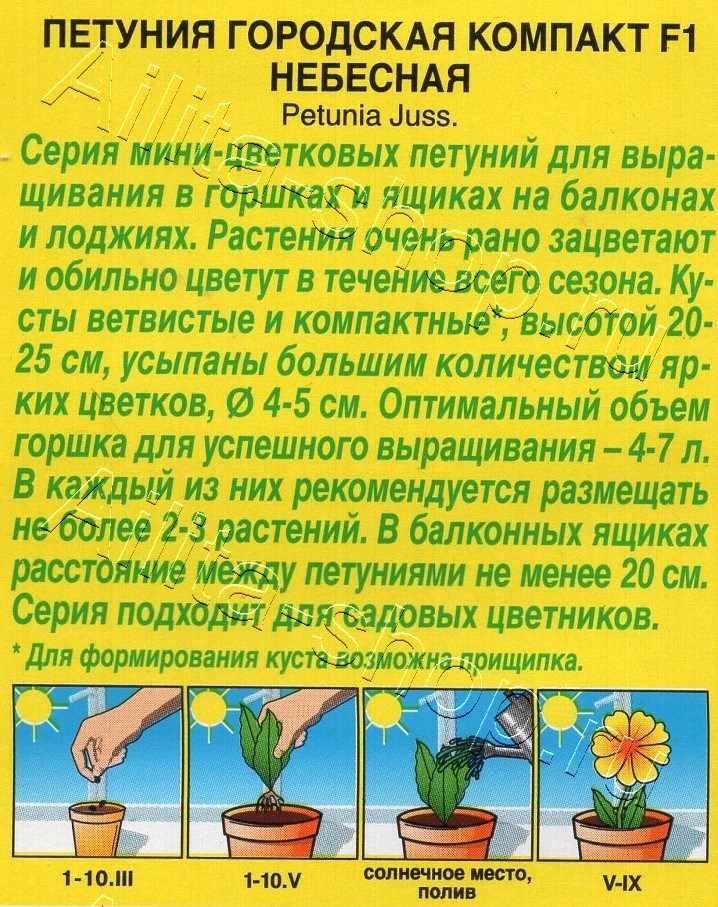 Петуния Городская компакт F1 небесная 7шт