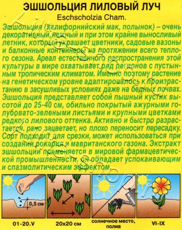 Эшшольция Лиловый луч 20шт