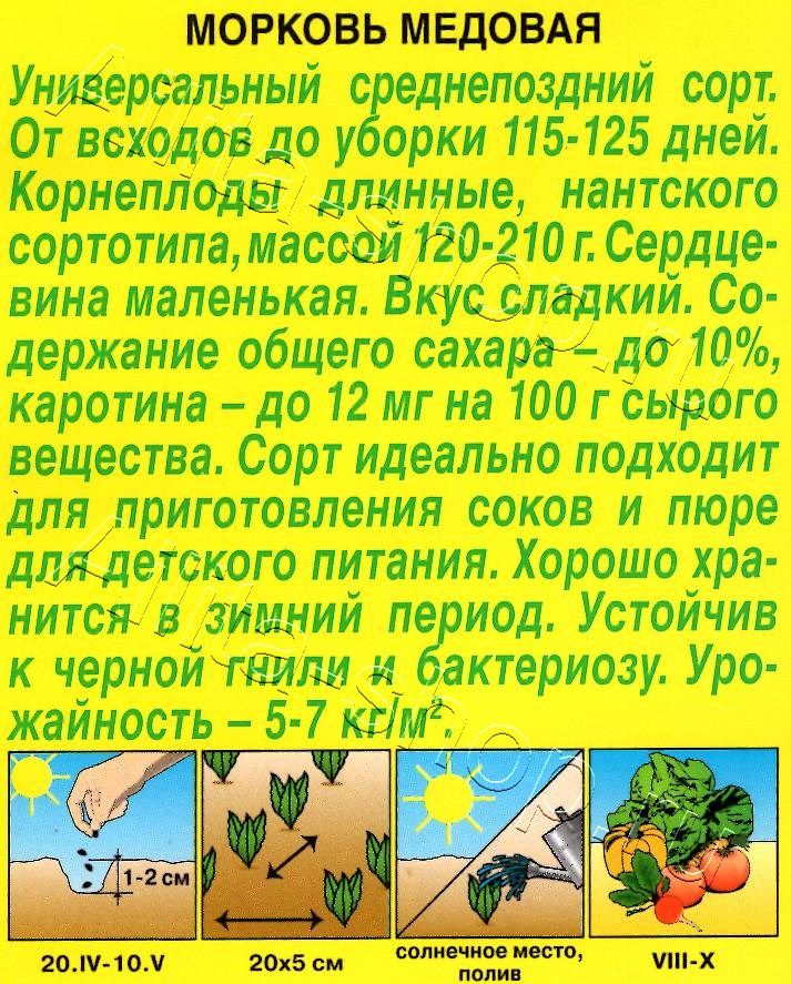 Морковь Медовая 2г