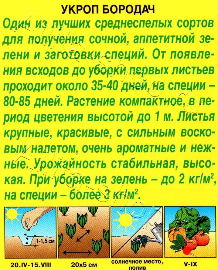 Укроп Бородач 3г