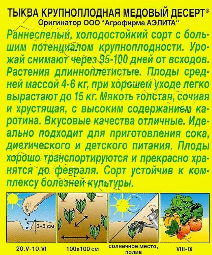 Тыква крупноплодная Медовый десерт 1г