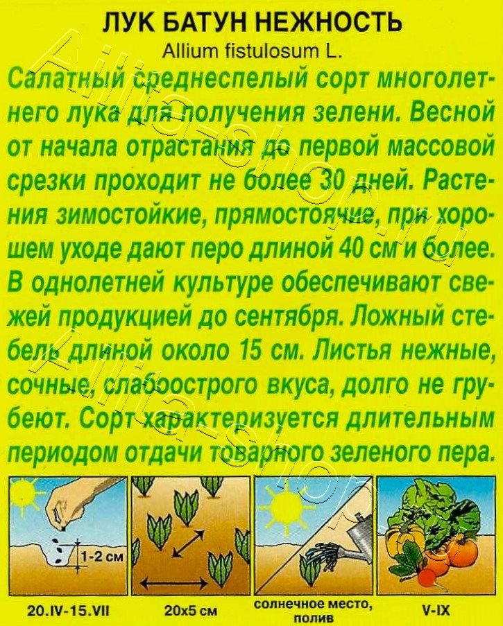 Лук батун Нежность 0,5г