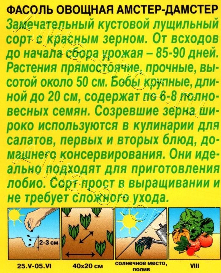 Фасоль овощная Амстер-дамстер 5г