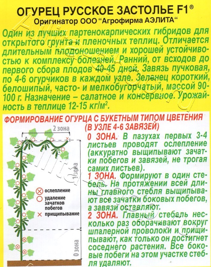 Огурец Русское застолье F1 10шт