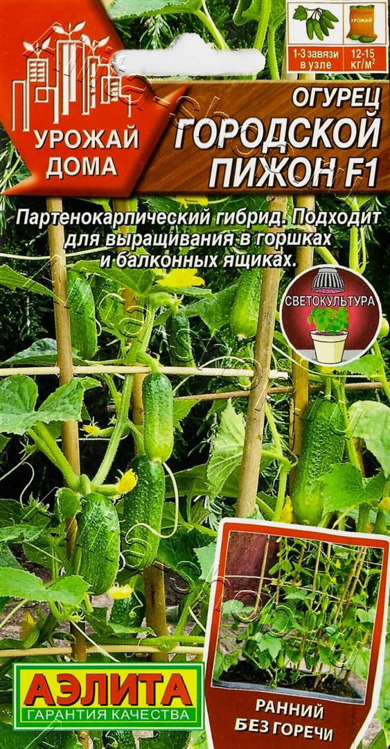 Огурец Городской пижон F1 5шт