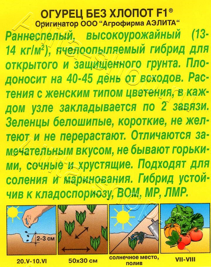 Огурец Без хлопот F1 10шт