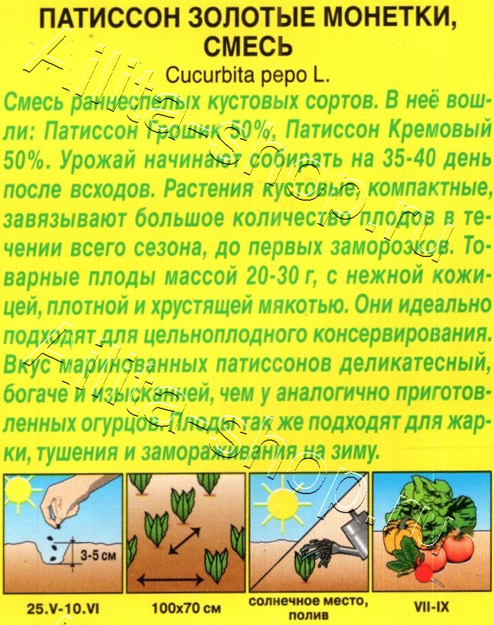 Патиссон Золотые монетки, смесь 1г