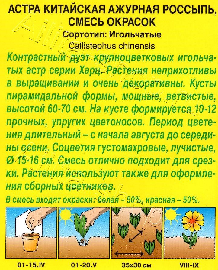 Астра Ажурная россыпь, смесь окрасок 0,2г