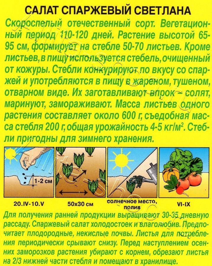 Салат Светлана спаржевый 0,5г