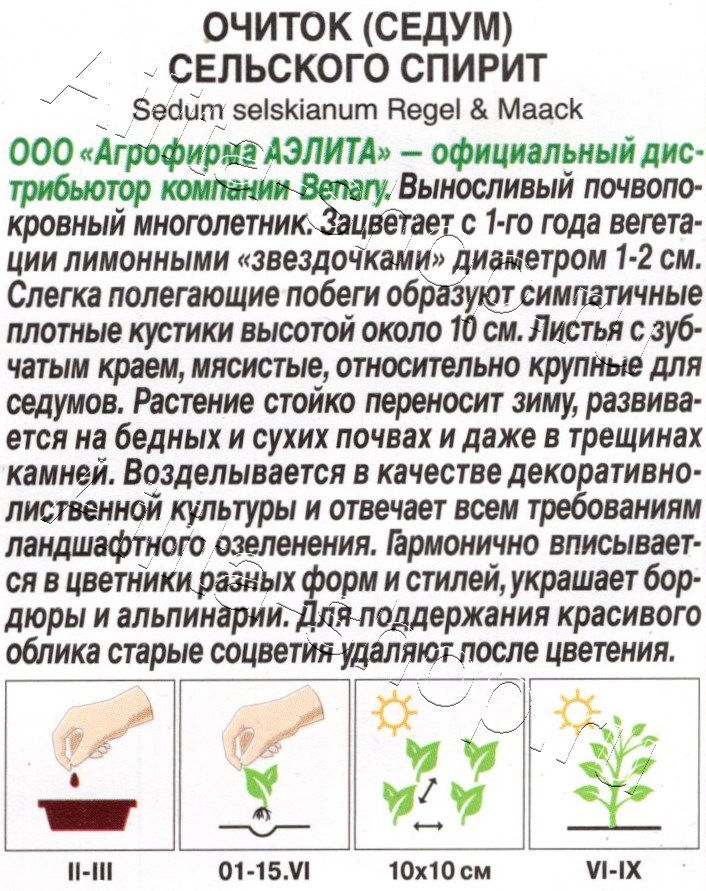 Очиток (Седум) сельского Спирит 5шт