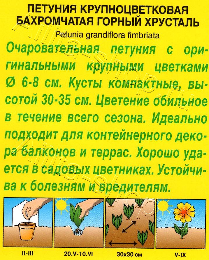 Петуния Горный хрусталь крупноцветковая бахромчатая 7шт