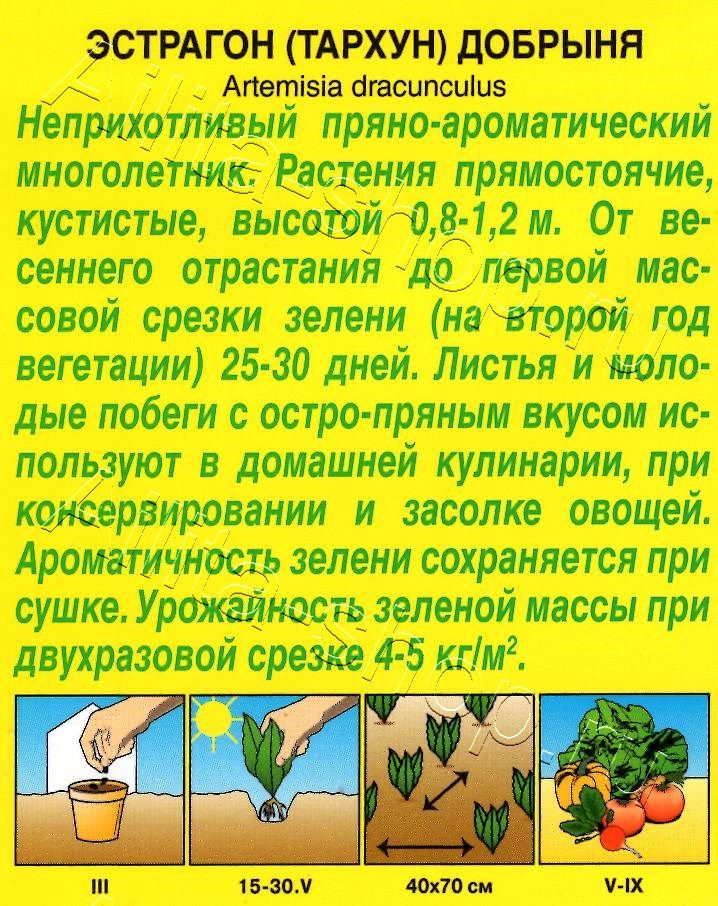 Эстрагон Добрыня 0,05г