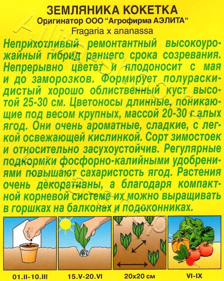 Земляника ремонтантная крупноплодная Кокетка 10шт