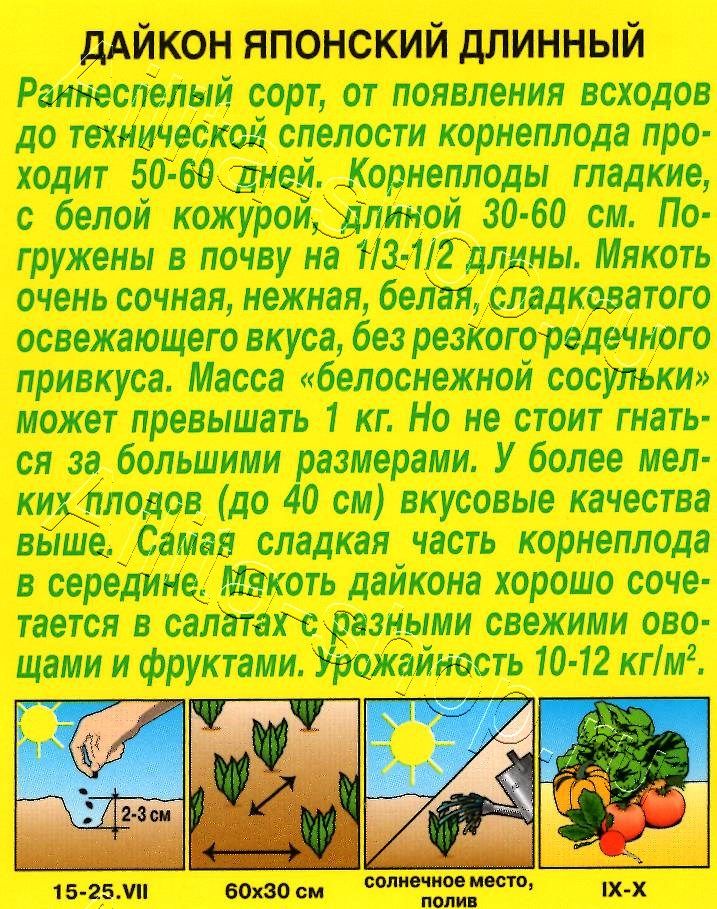 Дайкон Японский длинный 1г