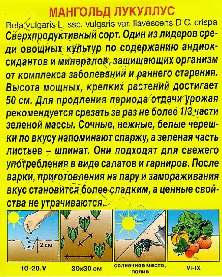 Мангольд Лукуллус 1г