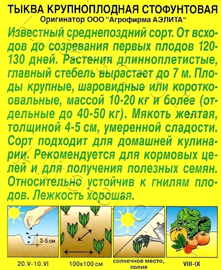 Тыква крупноплодная Стофунтовая 2г