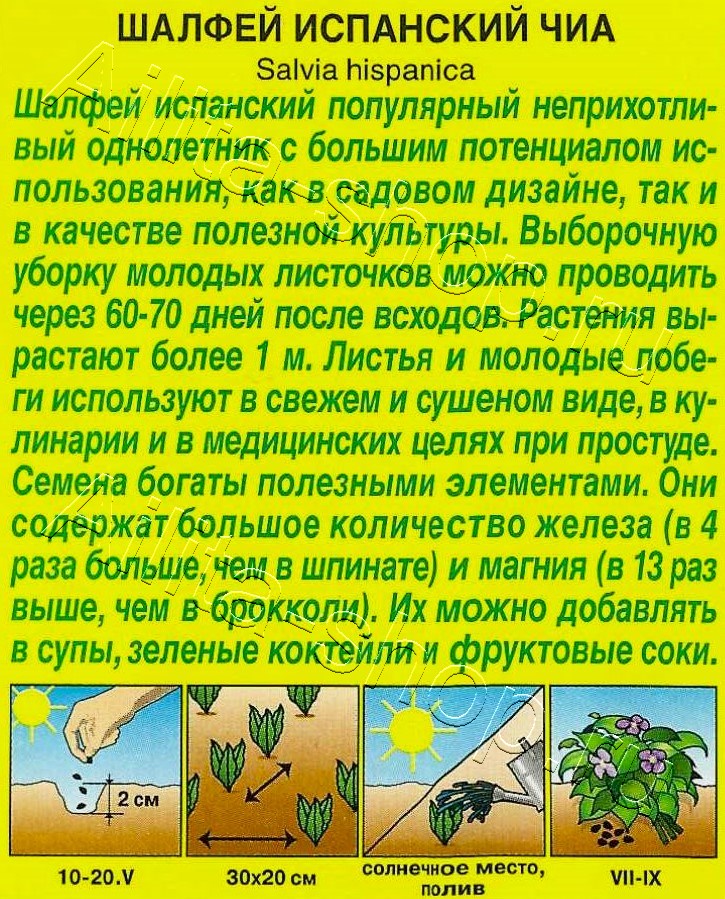 Шалфей испанский Чиа 0,3г