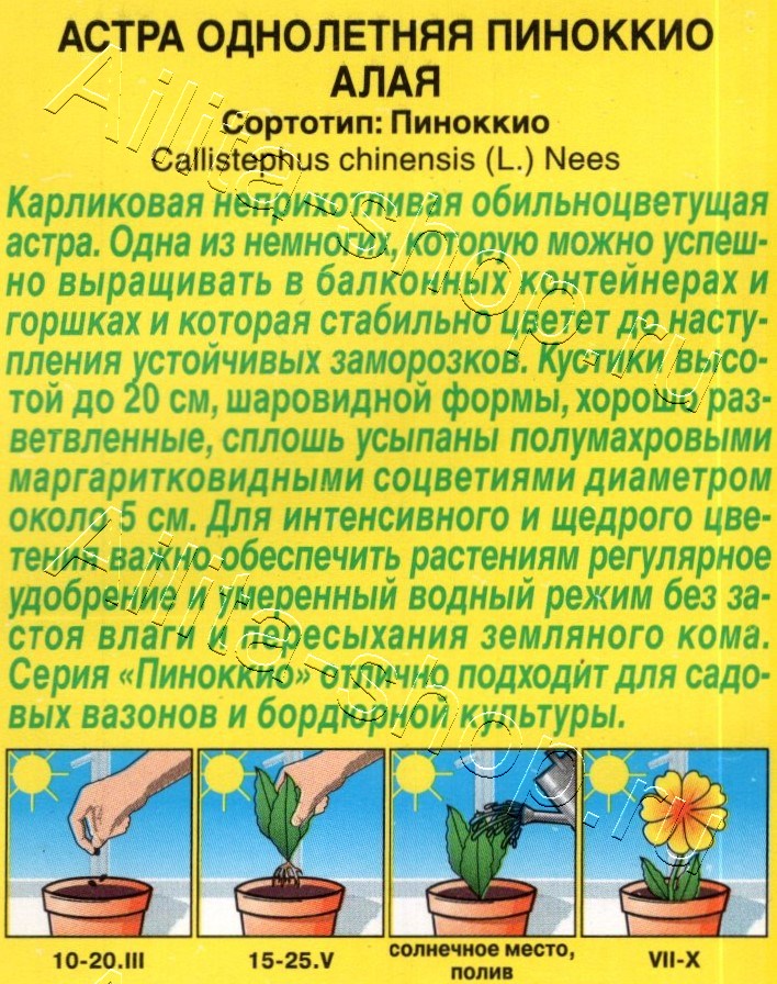 Астра Пиноккио алая 0,05г